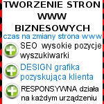 Wykonanie strony internetowej w super cenie 700 zł. (brutto) !